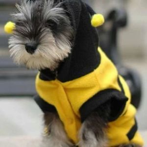 NEW!! SMALL BEE PET COSTUME